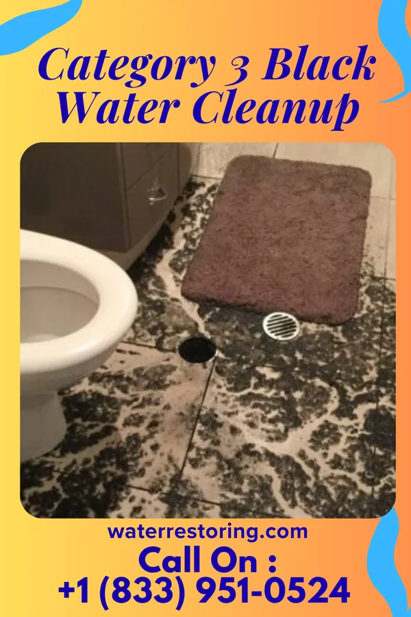 Category 3 Black Water Cleanup in Crooked River Ranch, OR